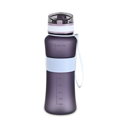 Picture of FIT TRITAN SULUK 650ML / MOR - Voit